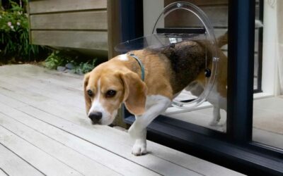 Easy Access: Enhancing Pet Door Installation Services with a Pricing Calculator